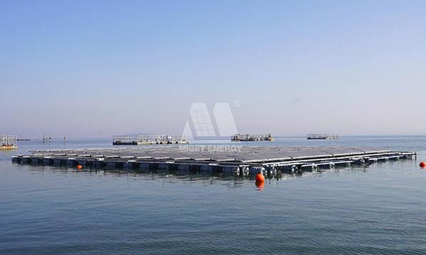 Mibet Offshore PV System Successfully Deployed Nearshore